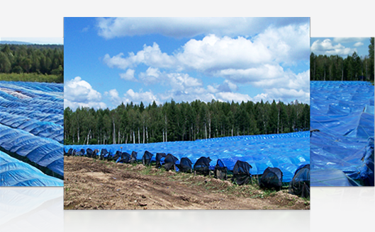 Full Traceability